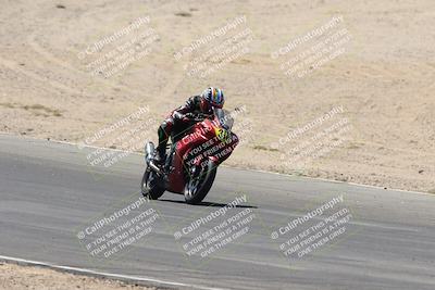 media/Apr-20-2025-CVMA (Sun) [[39090e8767]]/Race 11-500-350 Supersport (Holeshot)/